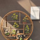 농업할인마트 | 함평국화축제 대한민국국향대전 관람후기