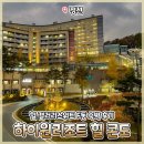 하이원리조트 힐콘도 F동 힐 갤러리 스위트 숙박 후기