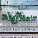 헤어토크 | 제주 아라동 미용실, 애쉬브라운 톤다운 염색 성공 후기 ‘라빈헤어’