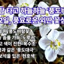 꽃히다 이미지