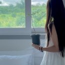백화stay