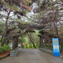 산막이약수터 | 【충북 걷기】 괴산댐 호수 따라 괴산 산막이옛길 걷기 후기