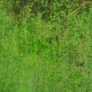 경안천습지생태공원 이미지