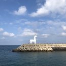 태호목장 이미지