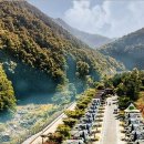 영천오이소 이미지