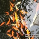 다대1동-20 네이버블로그