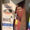 고미뷰티 | 평촌 하리뷰티&브로우 왁싱후기