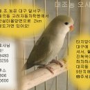 ▶대구 조류 농장 찾아오는 방법◀ 이미지