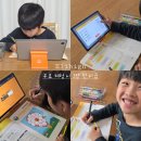 초등학교3학년수학 초등인강 엘리하이 무료체험 후기