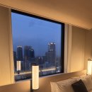 중앙레스파 | 한큐 레스파이어 오사카 호텔 추천 후기｜동선 역세권 끝판왕 + 초대형 시설, 친절, 짐보관, 조식까지...