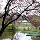 호텔마리스테이태안 이미지