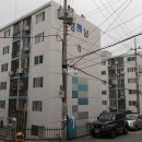 영남들국화아파트 이미지