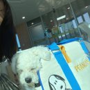 덕스텝 협동조합