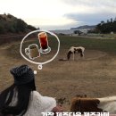 제주풍경스케치 | 제주 서귀포 유채꽃 명소｜용머리해안 오션뷰 카페 커피스케치