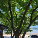 장수리경로당 이미지