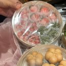 토리라케