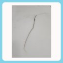 구로-현장-구로-496 | 싱크대상판 크랙 갈라짐 복원수리 오랜 시간 방치된 집