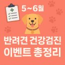 고득영동물병원 | 🐾 5~6월 반려견 건강검진 이벤트 총정리 (울산/강서구)