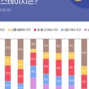 와이즈앤영