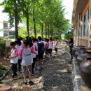 석곶초등학교 이미지