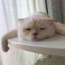 8월부터 달라집니다!