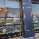 도그마루 강아지 고양이 부산점 이미지