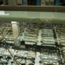 광화문로얄안경 이미지