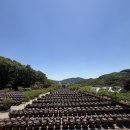 세종전통장류박물관 | 전라도, 경상도, 충청도, 강원도, 서울/경기도 항아리의 각각 다른 특징을 아시나요? 세종전통장류박물관