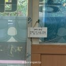 신박사 콩사랑 이미지