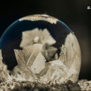 로즈빌고시원