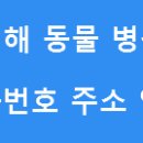 부경양돈협동조합 양돈클리닉센터 | 김해 동물병원 전화번호 및 주소 안내