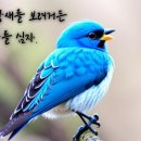 행복한파랑새 이미지