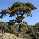 버스정류장(광산구청) 이미지