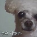 삼호궁전사우나 네이버블로그