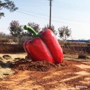 파프리카 조형물 이미지