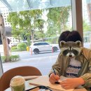 하이스트리트 | 아이와 마닐라 여행｜BGC 스타벅스, 서점, 하이스트리트 맛집 후기, 필리핀 아이와 갈만한곳