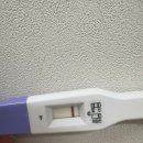 내안에유산부인과의원 | 인공수정3차/엠에스여성의원 인공수정2차 결과 화학적유산 늦은착상 임테기