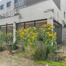 수노은 | 태안 카페 수노은 후기~!