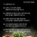백향 이미지