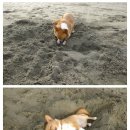 덕분 이미지