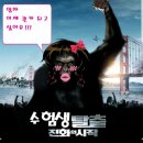 단양스타휘트니스 이미지