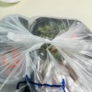 부산화명동맛집 바른보쌈족발1990 배달후기
