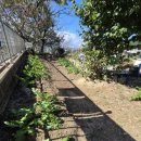 원효정사 이미지