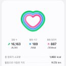 신세계 센텀시티에서 빵 털어온 날 (소맥베이커리/5알땅콩빵)