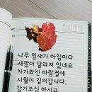 이십구 이미지
