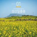 제주도 관광지 제주 성산일출봉 여행 유채꽃명소+먹거리