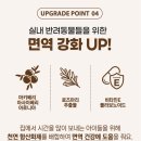 독플러스 | [협찬]ANF 식스프리플러스 인도어 독 소고기&amp;연어 체험 후기