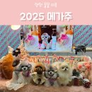 초전산업개발(주) | 2025 메가주 케이펫페어 일산 라인업 킨텍스 주차 정보와 사전등록 방문기