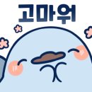 박스원복싱 일산역 이미지
