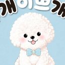 개이쁘개 네이버블로그